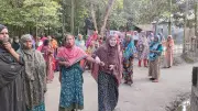 গাইবান্ধায় কুকুরের কামড়ে পাঁচজনের মৃত্যু: টিকা নিয়েও কেন মৃত্যু?