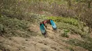বাংলাদেশের প্রাকৃতিক সৌন্দর্যের অপূর্ব ছবি