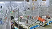বর্ষার আগেই ডেঙ্গু প্রকোপ: আক্রান্ত ২৯০০, নিহত ৫