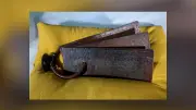 আন্তর্জাতিক ভিডিও: নতুন দিগন্ত উন্মোচন