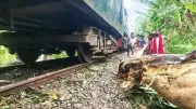 নীলফামারীতে ঝড়ে গাছের ডাল রেললাইনে, ট্রেনের ইঞ্জিন লাইনচ্যুত