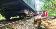 নীলফামারীতে গাছের ডালে ধাক্কা লেগে খুলনা মেইল লাইনচ্যুত, ৫ ঘণ্টা চলাচল বন্ধ
