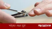 কুরবানির আগে নখ ও চুল না কাটা: ইসলাম কী বলে?