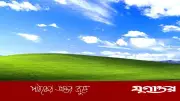 পৃথিবীর সবচেয়ে বেশি দেখা ছবি ব্লিসের অজানা গল্প