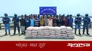মিয়ানমারে পাচারকালে ২৪০০ বস্তা সিমেন্টসহ ৩৩ পাচারকারী আটক