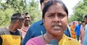গরুর জন্মনিবন্ধন সনদ চেয়ে বিতর্কে বিজেপি বিধায়ক