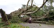 নওগাঁয় কালবৈশাখীতে ব্যাপক ক্ষয়ক্ষতি, ঘরবাড়ি ও ফসলের ক্ষতি