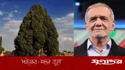ইরানি সভ্যতার শক্তির প্রতীক ৪,৫০০ বছরের প্রাচীন বৃক্ষ