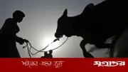 সৌদির সঙ্গে মিলিয়ে ঈদুল আজহা পালন করবে পাকিস্তান
