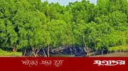সুন্দরবনে বন বিভাগের গুলিতে জেলে নিহত, তদন্তের দাবি