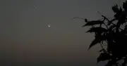 দেশে চাঁদ দেখা গেছে, ঈদুল আজহা ২৮ জুন