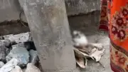রাস্তায় মানব খুলি-হাড়, ইরানের তেল নিষেধাজ্ঞা শিথিলে রাজি যুক্তরাষ্ট্র