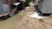 নোনা পানিতে প্লাবিত জমি, স্লুইস গেট চালুর দাবি কৃষকদের