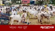 পশ্চিমবঙ্গে হিন্দু খামারিদের দুর্দশা, আত্মহত্যার হুমকি