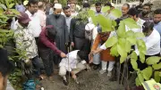 মিয়াওয়াকি পদ্ধতিতে নগর বনায়ন শুরু ডিএনসিসির