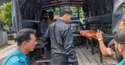 টঙ্গীতে ছাত্রলীগের বিক্ষোভ মিছিল, আটক ৪