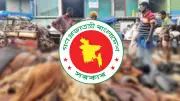 ঈদুল আজহা চামড়া সংরক্ষণে সরকারের উদ্যোগ