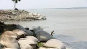 যমুনার ভাঙনে বিলীন হওয়ার পথে ইছামারা গ্রাম, বাসিন্দাদের দুর্ভোগ