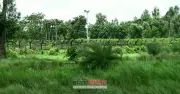 সিলেট সীমান্তে বিজিবি-বিএসএফ গোলাগুলি, পরিস্থিতি নিয়ন্ত্রণে