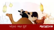 দাতব্য সংস্থার মাধ্যমে কুরবানি করলে ওয়াজিব আদায় হবে?