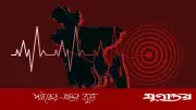 ৩.৩ মাত্রার ভূমিকম্পে কেঁপে উঠল দেশ, উৎপত্তি হবিগঞ্জে