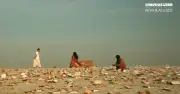 বনলতা সেন সিনেমার টিজার: জীবন্ত কবিতার মোহনীয় রূপ