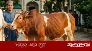 জোড় সংখ্যায় শরিক হয়ে কুরবানি করা কি জায়েজ?