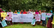 রাজশাহীতে মৌমাছি-বান্ধব এলাকা ঘোষণা, জীববৈচিত্র্য রক্ষায় উদ্যোগ