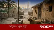 নবীজির কুরবানি: ইখলাস ও তাকওয়ার অনন্য দৃষ্টান্ত