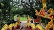 ঐতিহাসিক রাংকূট বৌদ্ধবিহার: পাহাড়চূড়ায় বুদ্ধের বক্ষাস্থি সংরক্ষিত