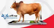 দেশে জনপ্রিয় হচ্ছে অনলাইন পশুর হাট, বাড়ছে প্রতারণার শঙ্কা