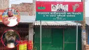 বিএনপি কার্যালয়ে গুলি, আহত ২; হরমুজে নতুন নিয়ম ইরানের