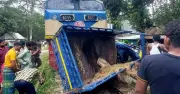 ব্রাহ্মণবাড়িয়ায় ট্রেনের ধাক্কায় গরুর মৃত্যু, চালক আহত