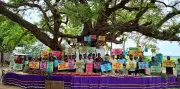 প্রাচীন তেঁতুলগাছকে ঘিরে আন্তর্জাতিক প্রাণবৈচিত্র্য দিবসের উৎসব