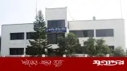 এক পাখির ধাক্কায় টাঙ্গাইলের পাঁচ উপজেলায় বিদ্যুৎ বিপর্যয়