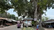 ২০০ বছরের পুরনো ছাতিয়ানতলা হাট: ঐতিহ্য এখনও অমলিন