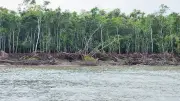 সুন্দরবনের স্থিতিস্থাপকতা কমেছে, উদ্বেগজনক হারে ভাঙন