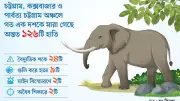 কক্সবাজারে মৃত হাতির চোখে গুলি, ৬১ গ্রাম ওজনের গুলি উদ্ধার