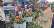 দিনাজপুরের ফুলবাড়ীতে জমে উঠেছে লিচুর বাজার, দামে হতাশ নিম্ন আয়ের ক্রেতারা