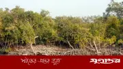 সুন্দরবনে বনদস্যুদের হাত থেকে ২১ জেলেকে উদ্ধার করল কোস্টগার্ড