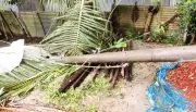 জামালপুরে কালবৈশাখী ঝড়ে ২৮ ঘণ্টা বিদ্যুৎহীন, দুর্ভোগ চরমে