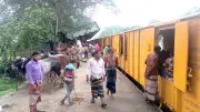 বিশেষ ট্রেনে ঢাকায় আসছে ১২০০ কোরবানির গরু