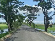 আমতলীর ২০ গ্রামে সড়ক পুনর্নির্মাণে স্বস্তি ফিরেছে
