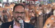কোরবানির হাটে চোরাই গরু ঠেকাতে বিজিবি প্রস্তুত: প্রতিমন্ত্রী
