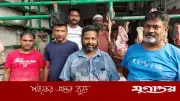 কুরবানির তিনদিনে ৪ জনে ১৬ গরু কেটে আয় ৪ লাখ টাকা