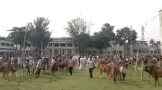ঈদের দিন আবহাওয়া স্বাভাবিক, দুর্নীতি মামলায় গ্রেপ্তার শ্যোন