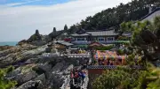 বাজেটে দক্ষিণ কোরিয়া ঘুরবেন? ১০ টিপসে সাশ্রয়ী ভ্রমণ