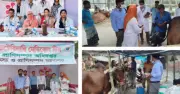 ২৯ কোরবানির হাটে বিনামূল্যে পশুচিকিৎসা সেবা দিচ্ছে প্রাণিসম্পদ অধিদপ্তর
