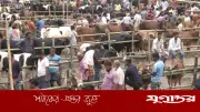 ৩০ বছর পর বন্ধ হচ্ছে গদাইপুর কুরবানির পশুর হাট