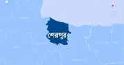 শেরপুরে ১২ বছরের শিশু ধর্ষণ ও গর্ভপাত, গ্রেপ্তার ১